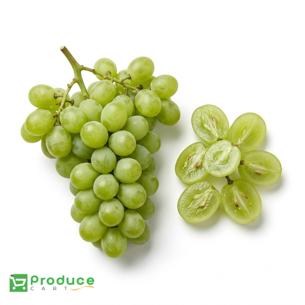 Product 9724649275688 Image