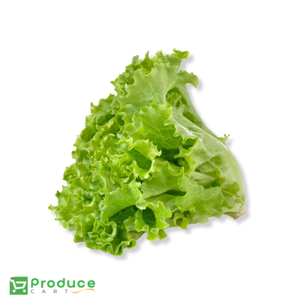 Product 9724660384040 Image