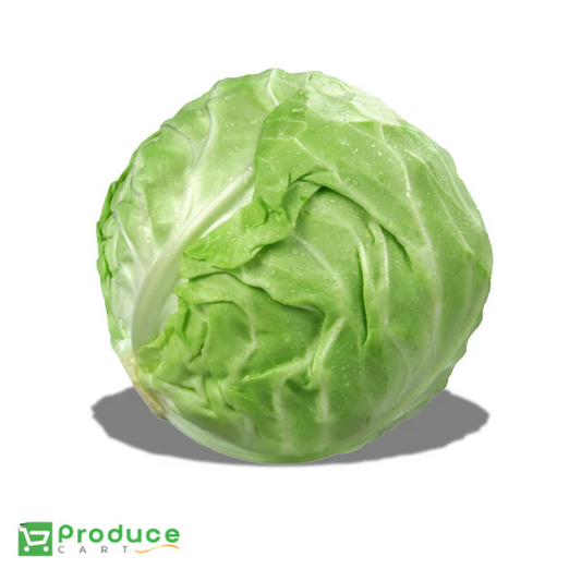 Product 9724649373992 Image