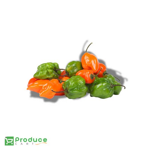 Product 9724649570600 Image