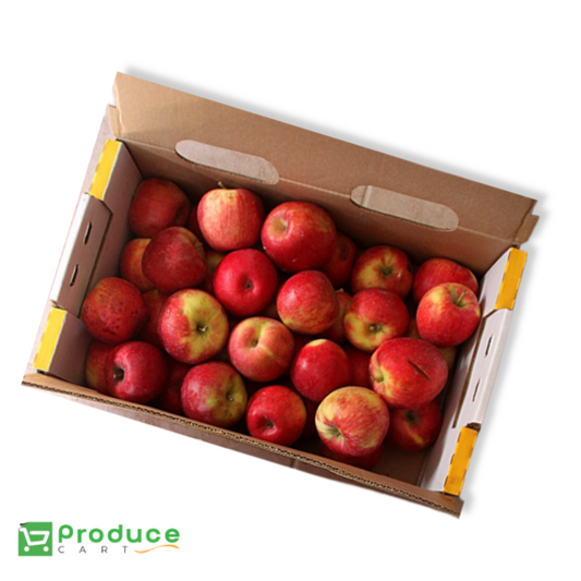 Product 9728030277928 Image