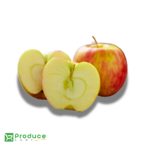 Product 9724656124200 Image