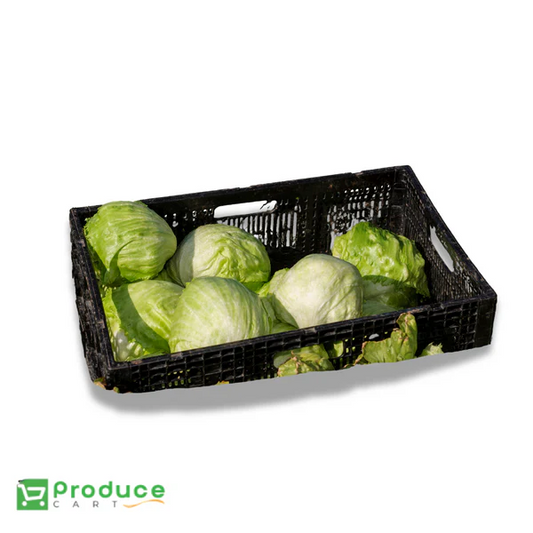 Product 9724649242920 Image