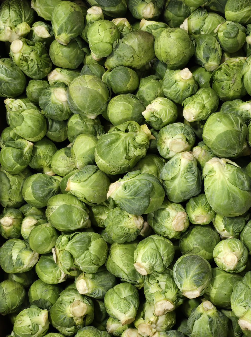 Brussel Sprouts (LB)