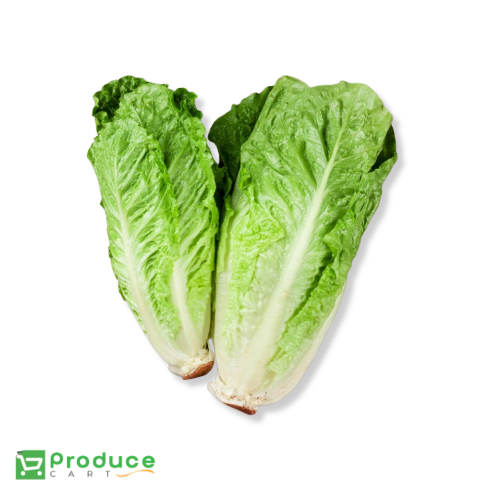 Product 9724655272232 Image