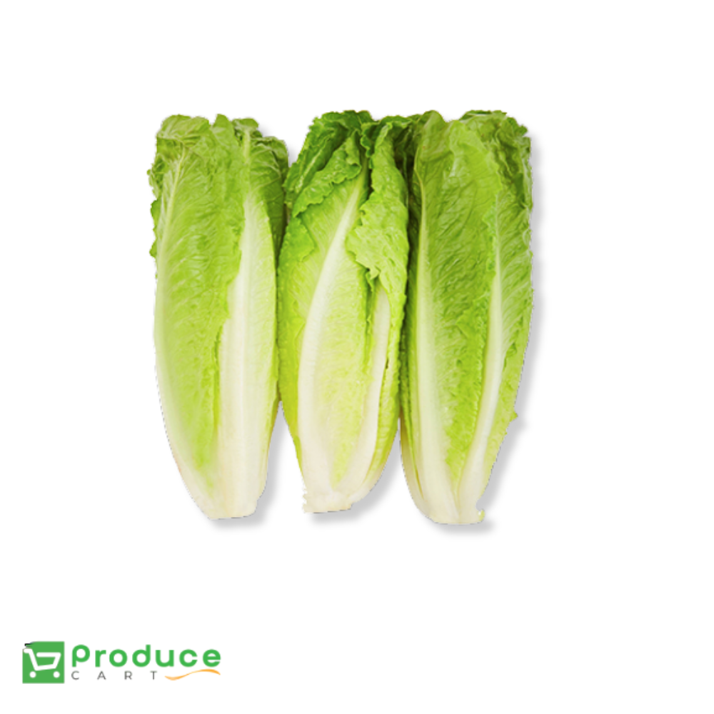 Product 9724649963816 Image