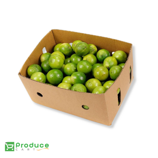 Product 9724657205544 Image