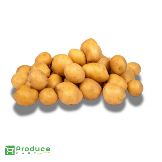 Product 9724649210152 Image