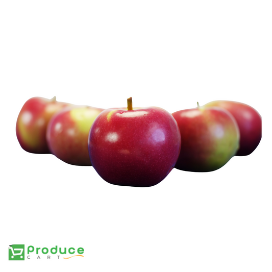 Product 9810681463080 Image