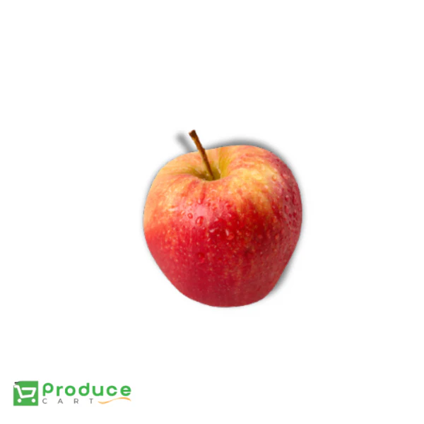 Product 9724664840488 Image