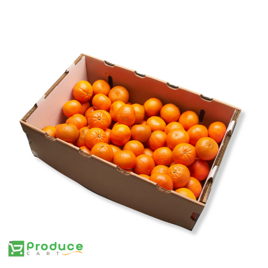 Product 9724653535528 Image
