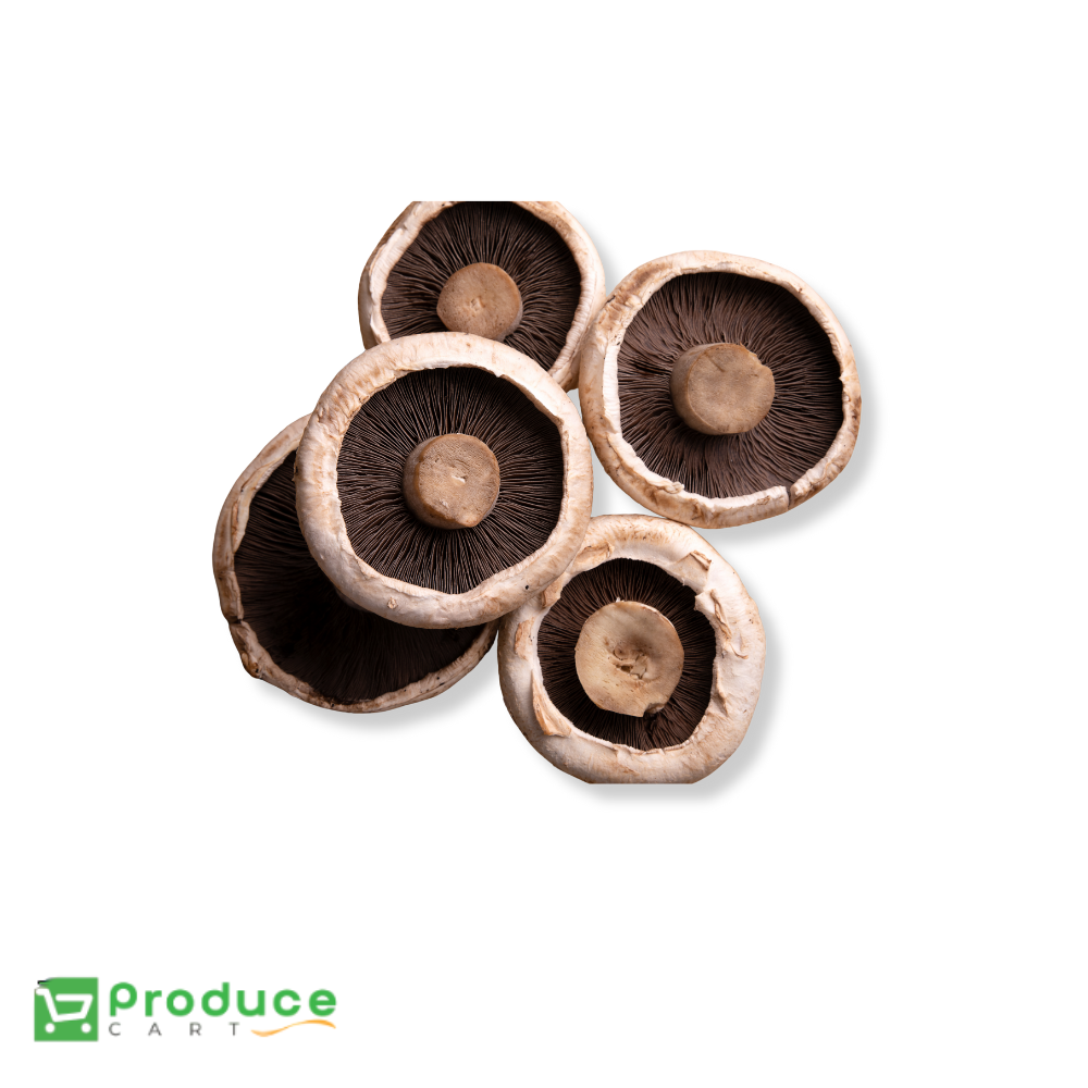 Product 9724658450728 Image