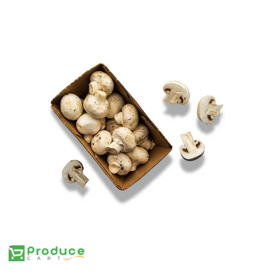 Product 9724669395240 Image