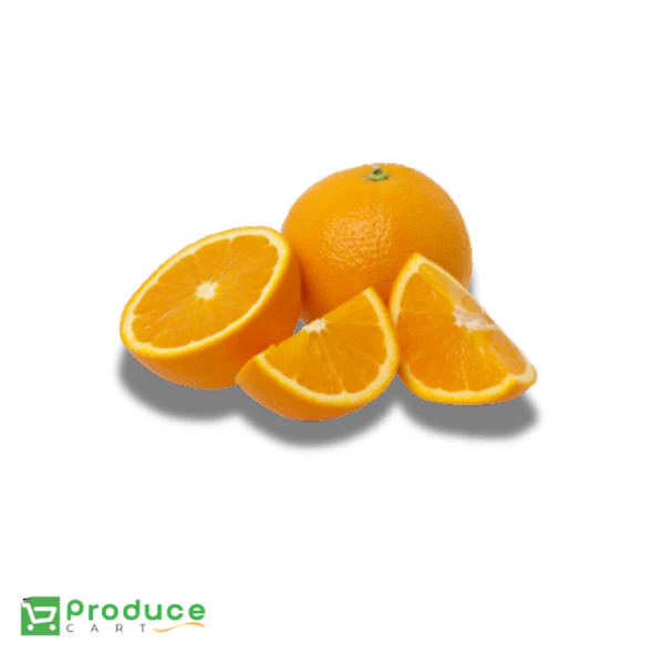 Product 9724649013544 Image