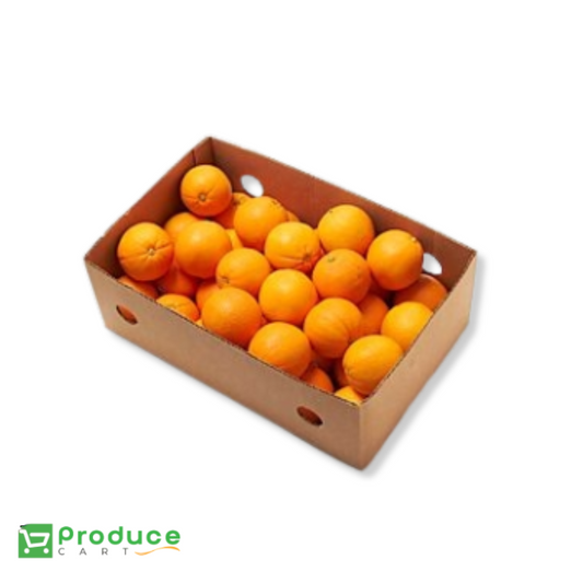 Product 9724657598760 Image