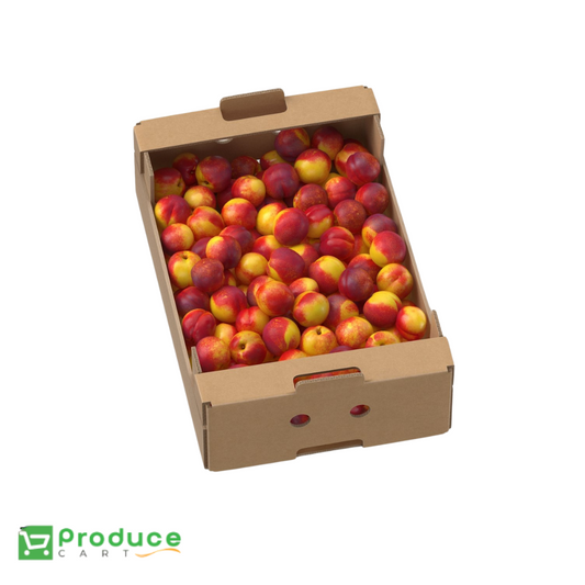 Product 9727405719848 Image