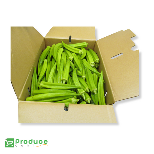 Product 9724654846248 Image