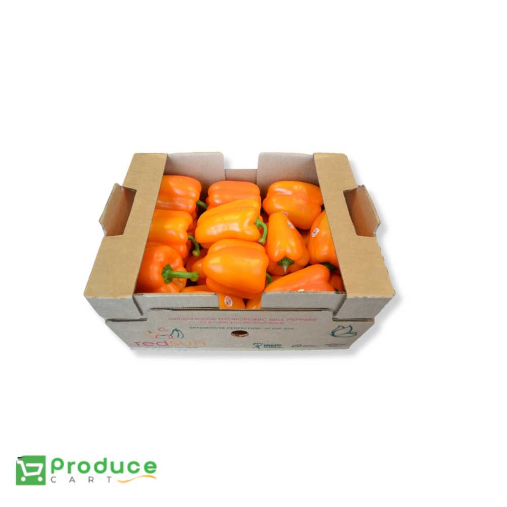 Product 9742593098024 Image
