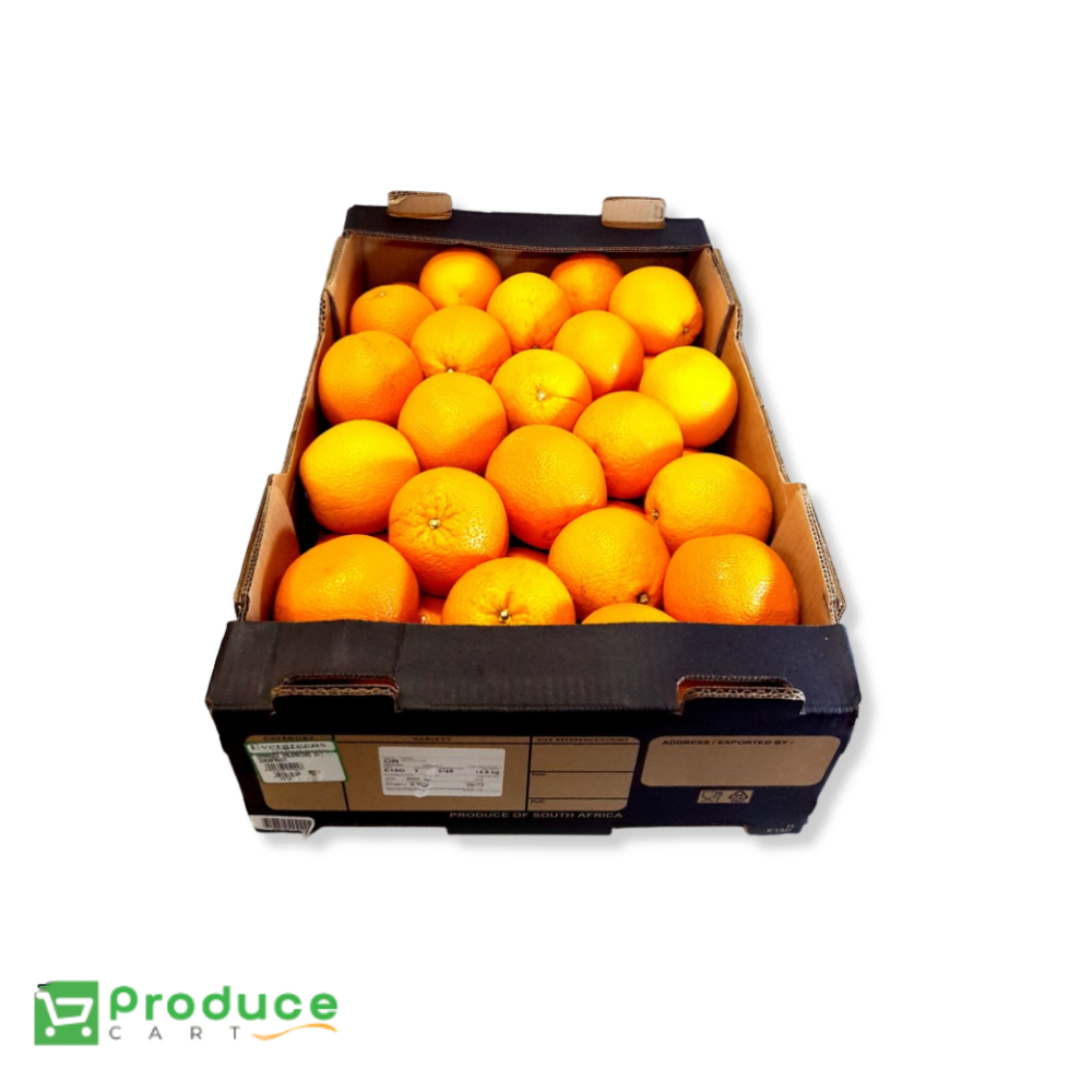 Product 9724662415656 Image