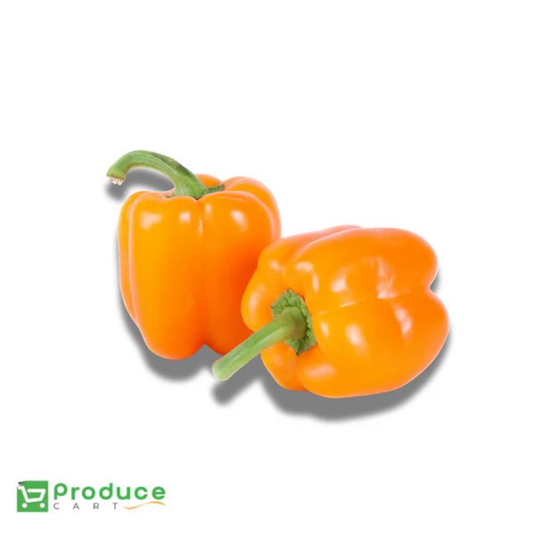 Product 9724653666600 Image