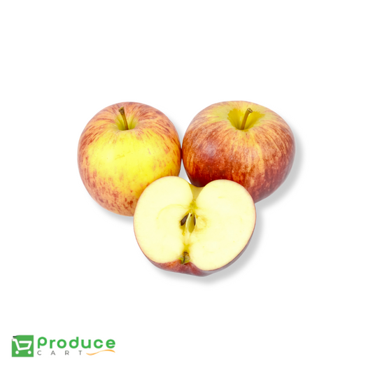 Product 9724666609960 Image