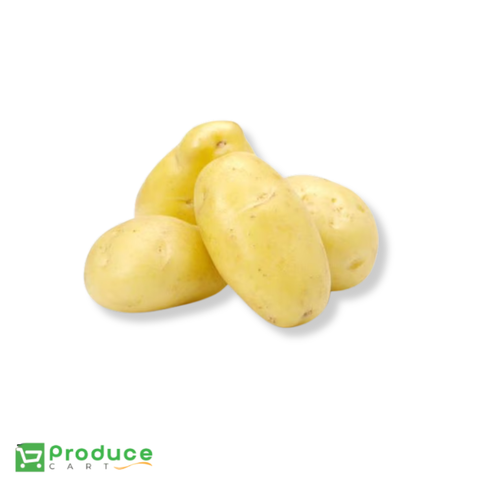 Product 9724664938792 Image