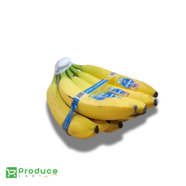 Product 9724661465384 Image