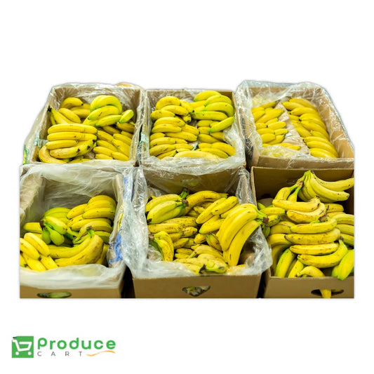 Product 9742592016680 Image