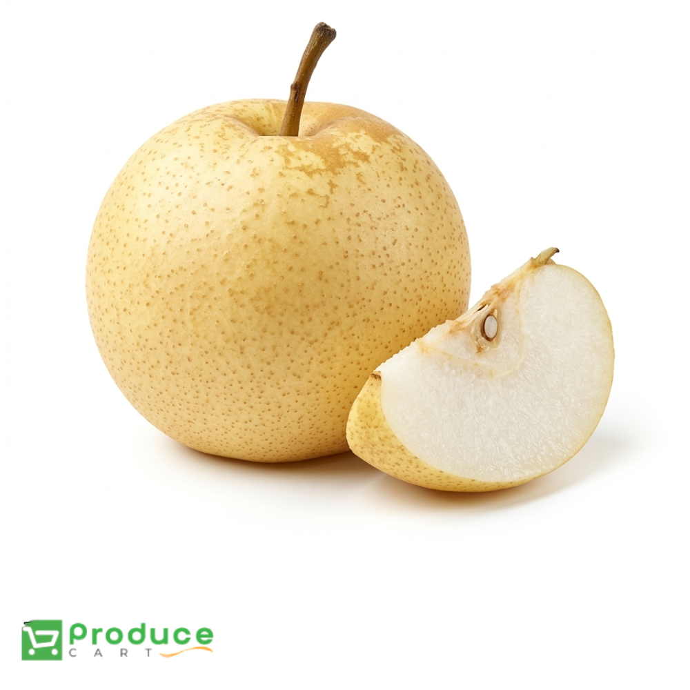 Product 9724660580648 Image