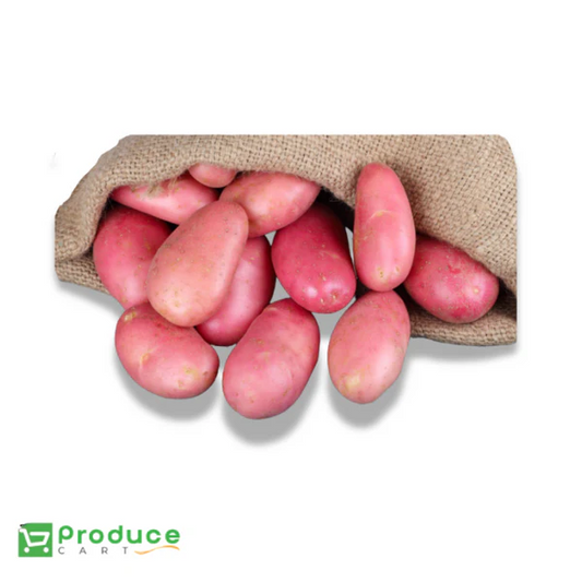 Product 9724665725224 Image