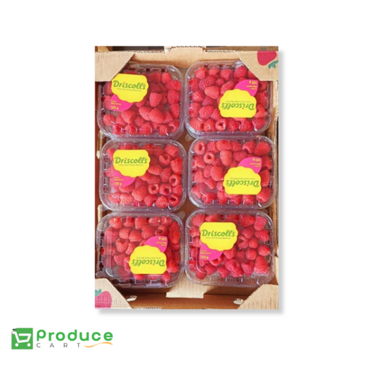 Product 9724659990824 Image