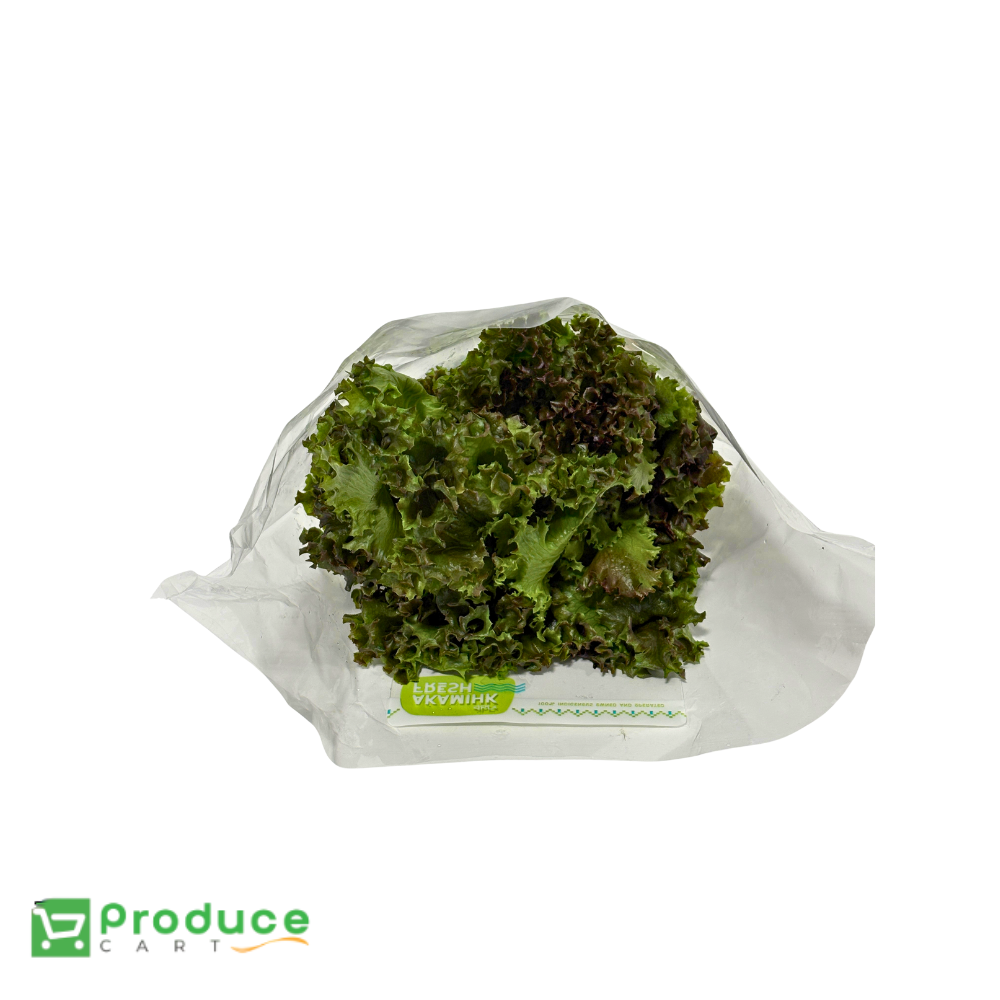 Product 10142223171880 Image