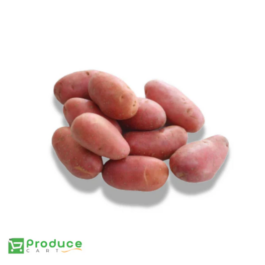 Product 9724650291496 Image