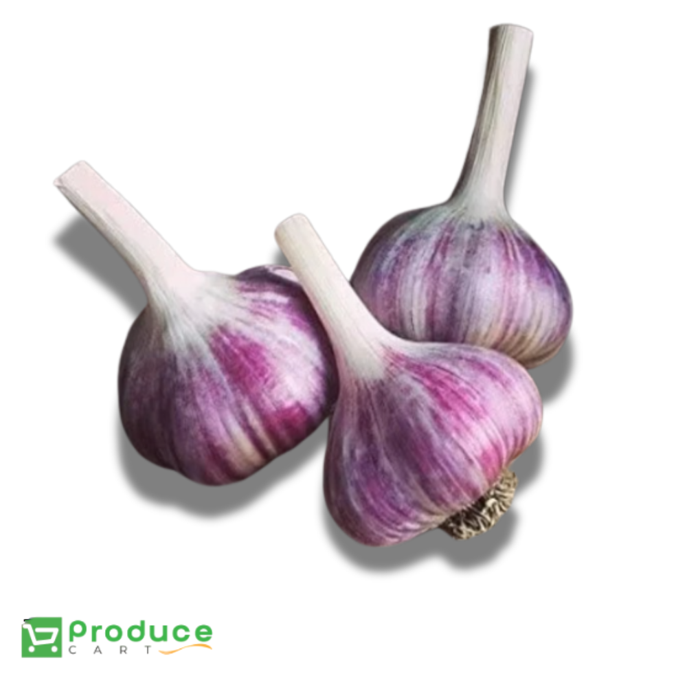 Organic Red Russian Garlic (2 PC) (#1 Grade)
