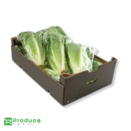 Product 9724656976168 Image