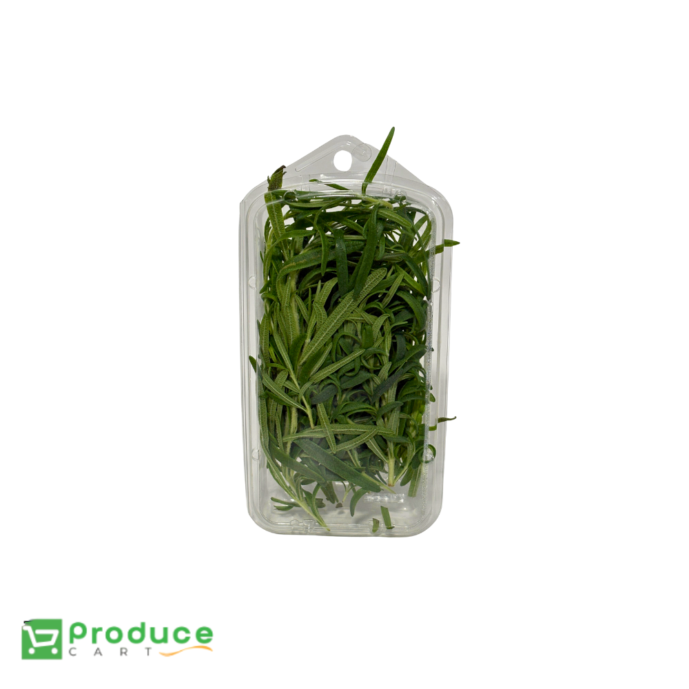 Product 10142213439784 Image