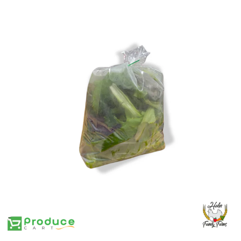 Product 9724668739880 Image