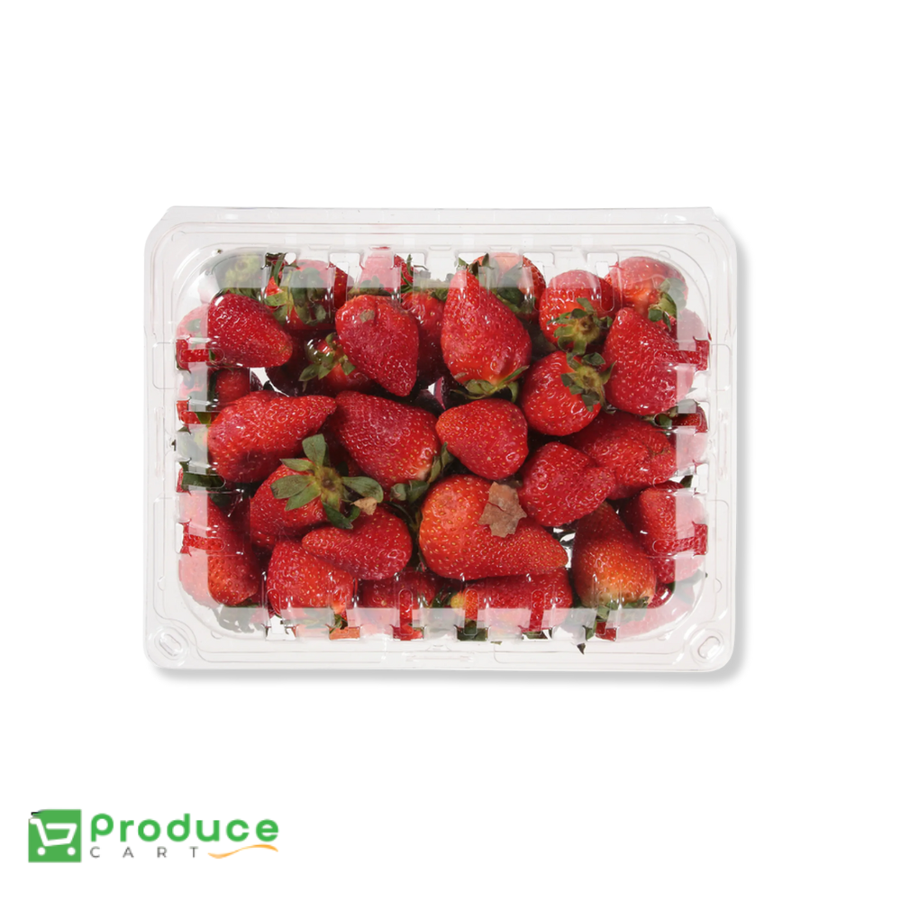 Product 9724664021288 Image