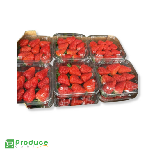 Product 9724653437224 Image