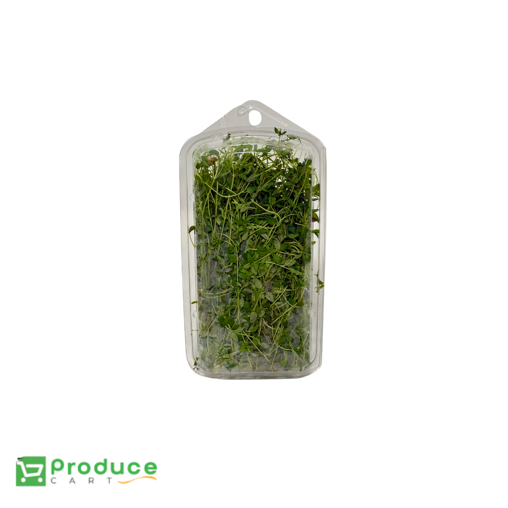 Product 10142213374248 Image