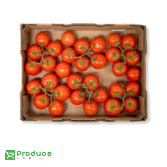 Product 9724654092584 Image