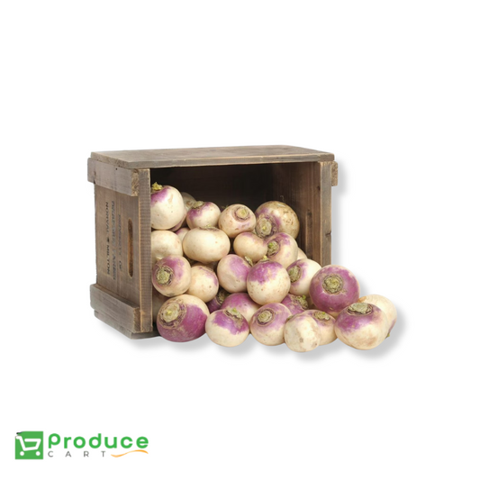 Product 9724660023592 Image