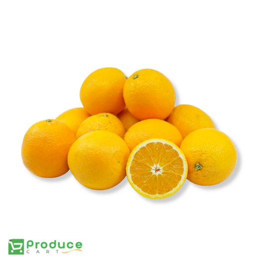Product 9724665037096 Image