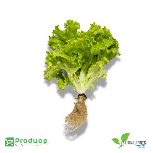 Product 9724660744488 Image