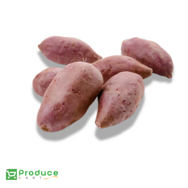 Product 9724660973864 Image