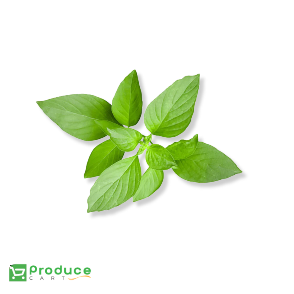 Product 9724654584104 Image