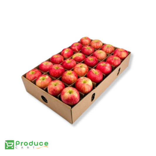 Product 9847646126376 Image