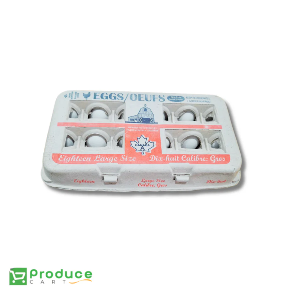 Product 9724655960360 Image