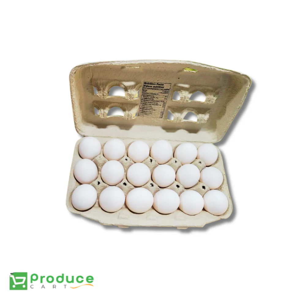 Product 9724655960360 Image