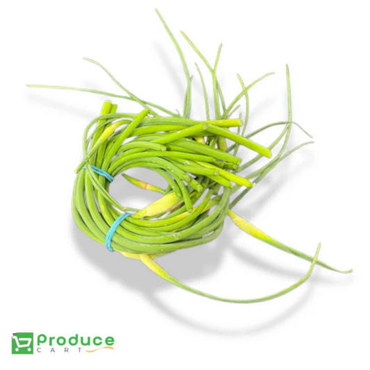 Product 9724667527464 Image